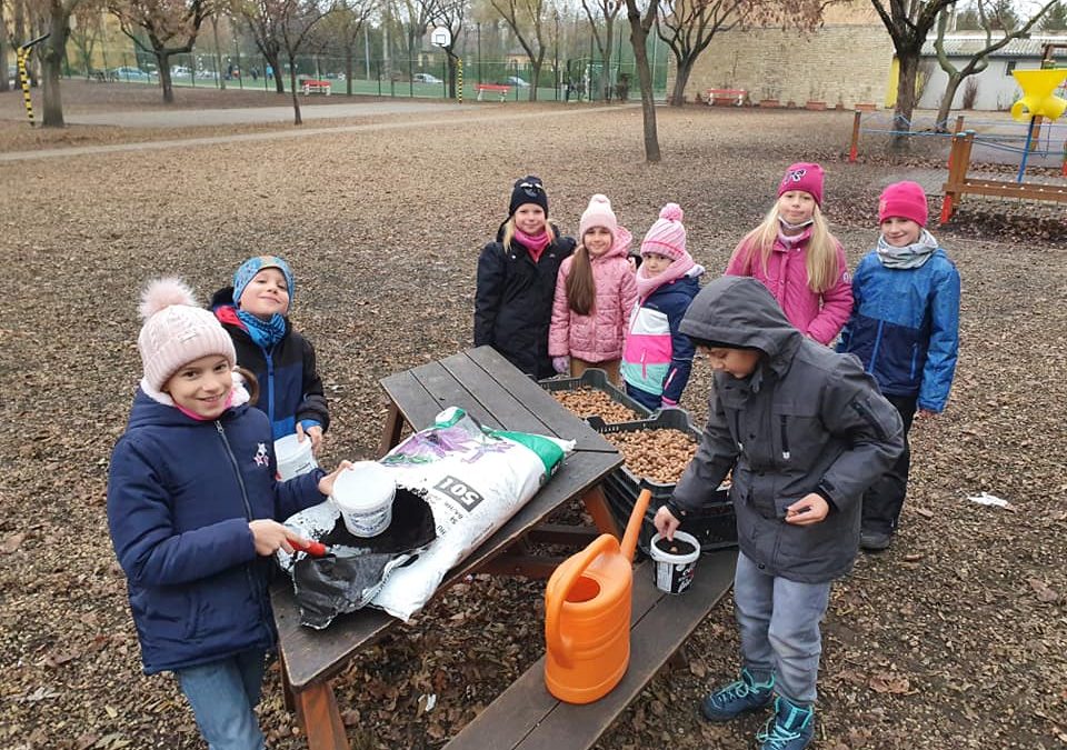Készül a KAFFKA erdő!