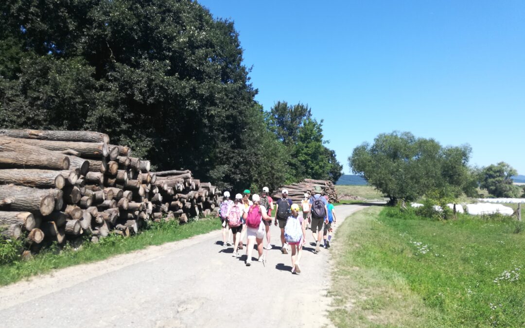 Nyári élmények: az erdei vándortábor